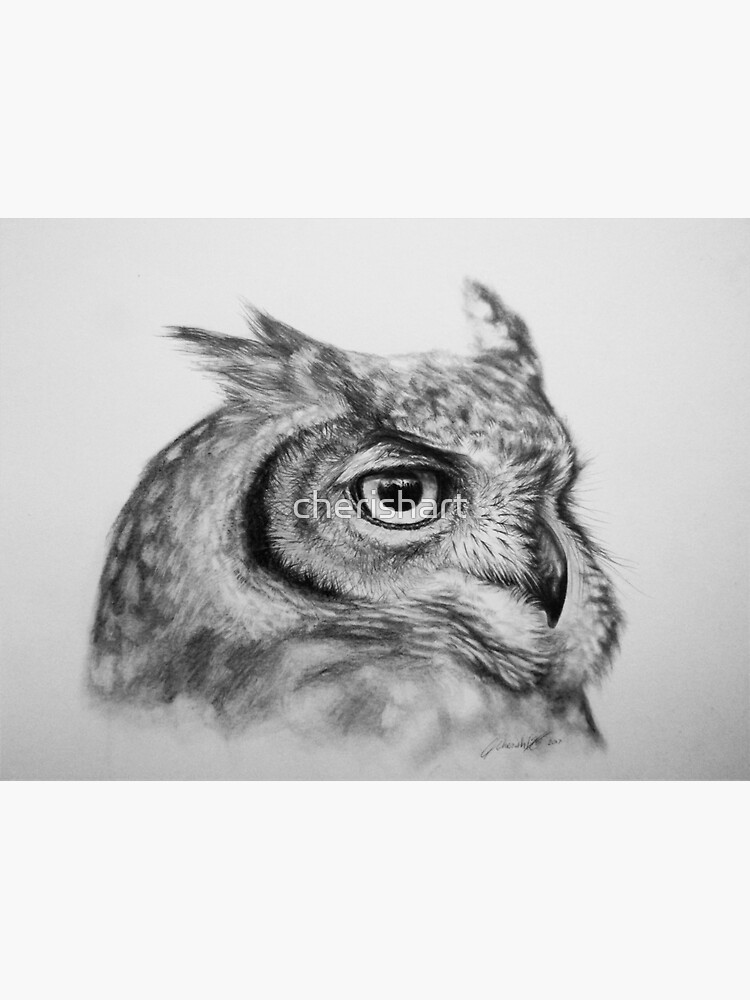 Owl by cherishart