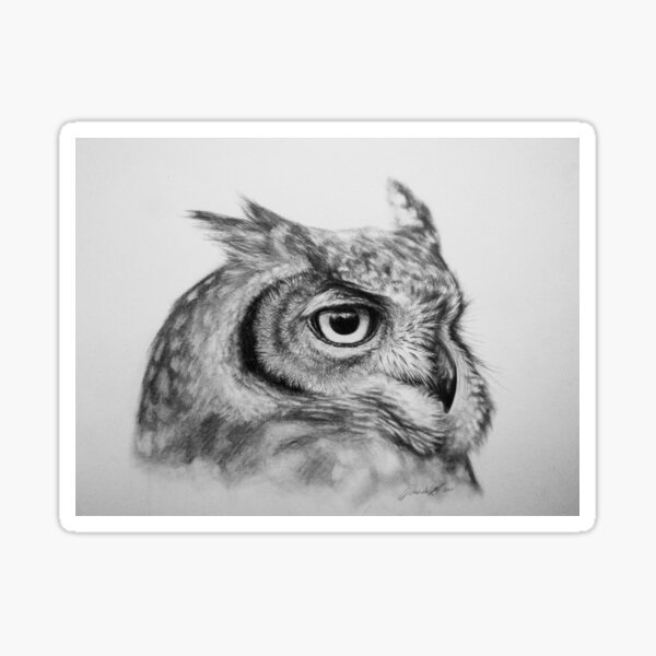 Owl Sticker