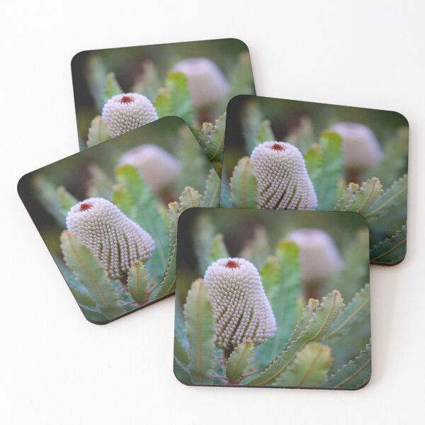 Item preview, Banksia prionotes #2 designed and sold by Jennene Cathcart.
