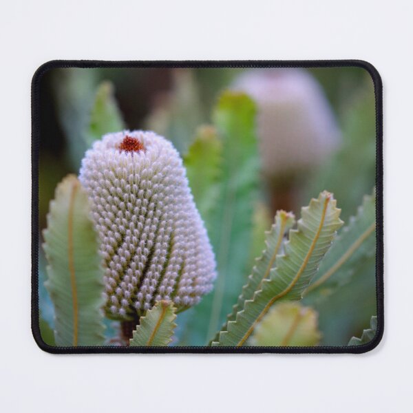 Item preview, Banksia prionotes #2 designed and sold by Jennene Cathcart.