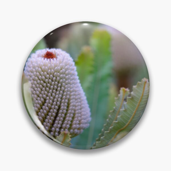 Item preview, Banksia prionotes #2 designed and sold by Jennene Cathcart.