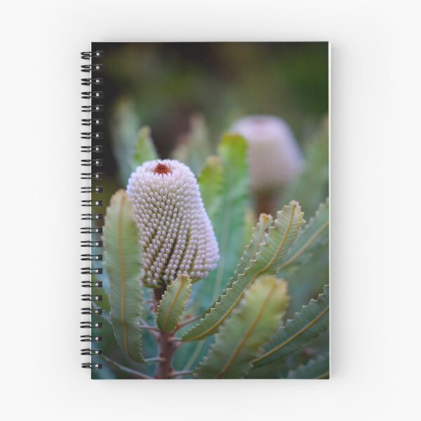 Item preview, Banksia prionotes #2 designed and sold by Jennene Cathcart.