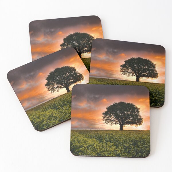 Item preview, When the Sun Rose designed and sold by rawshutterbug.