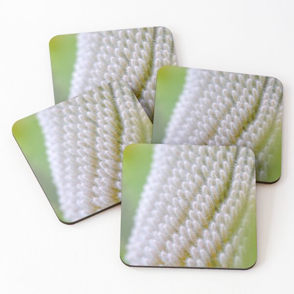 Item preview, Banksia prionotes #3 designed and sold by Jennene Cathcart.