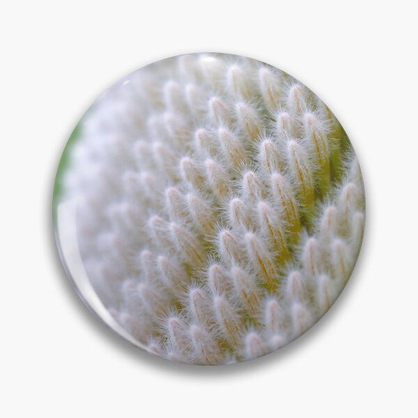 Item preview, Banksia prionotes #3 designed and sold by Jennene Cathcart.