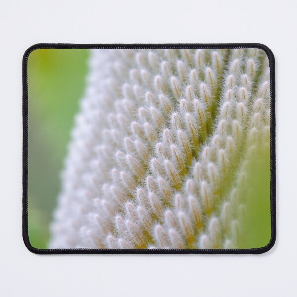 Item preview, Banksia prionotes #3 designed and sold by Jennene Cathcart.