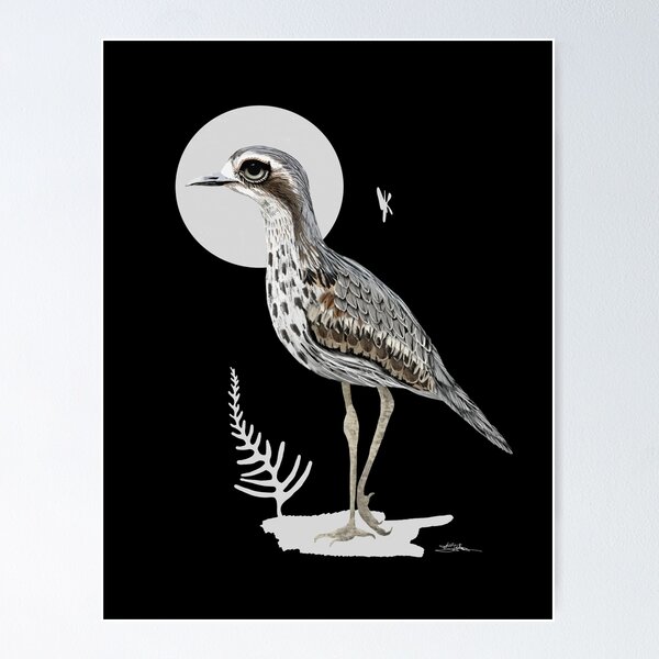 Item preview, Bush Stone-curlew designed and sold by Karin Taylor.