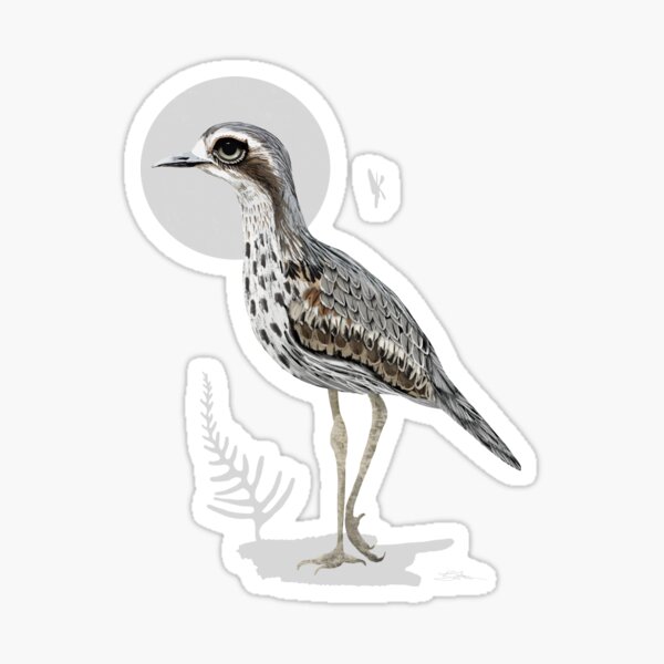 Item preview, Bush Stone-curlew designed and sold by Karin Taylor.
