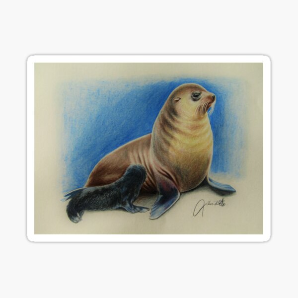 New Zealand Fur Seal Mother and Pup Sticker