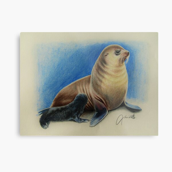 New Zealand Fur Seal Mother and Pup Metal Print