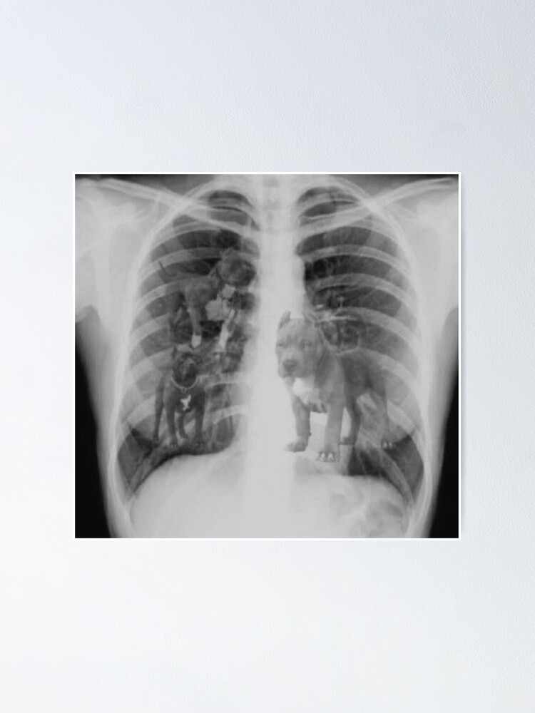 I got that dog in me