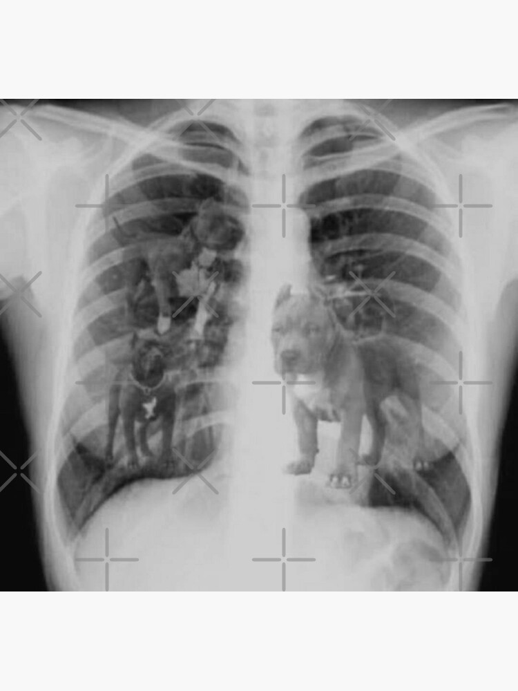 I got that dog in me