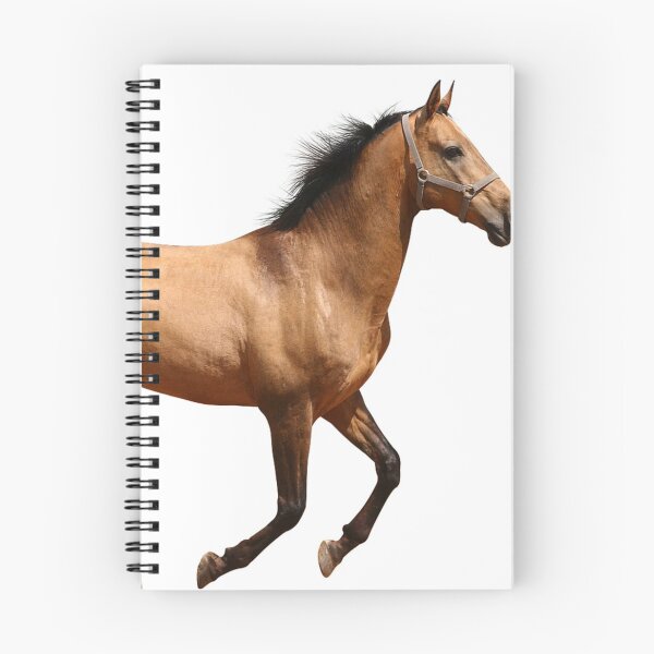 Item preview, horse designed and sold by Yuna26.