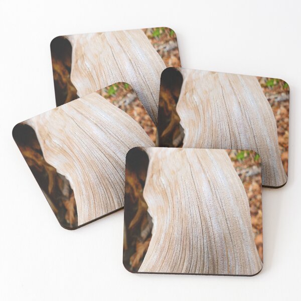 Item preview, Texture designed and sold by VividExhibition.