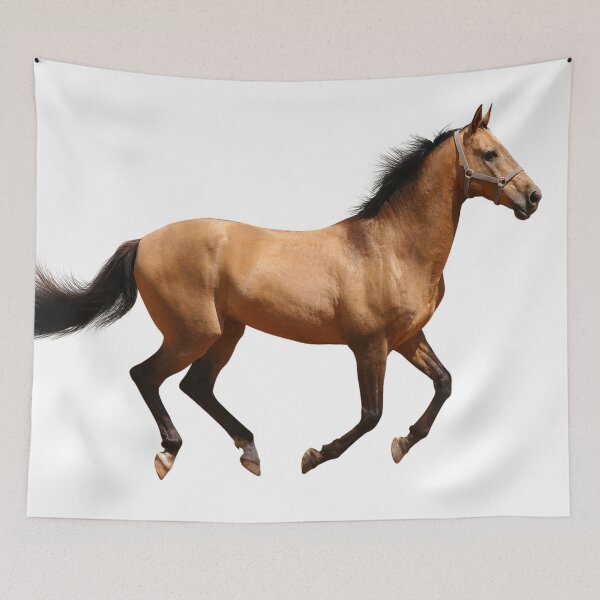 Item preview, horse designed and sold by Yuna26.