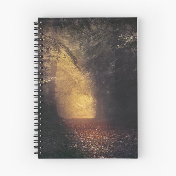 Item preview, a place beyond designed and sold by Dyrk Wyst Redbubble Shop.