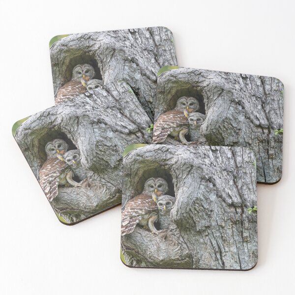Item preview, Owls designed and sold by Puttaswamy Ravishankar.