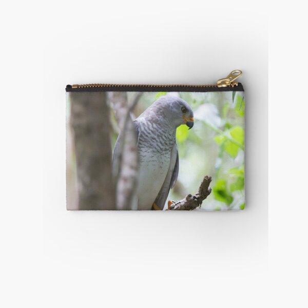 Item preview, My Backyard Goshawk designed and sold by byronbackyard.