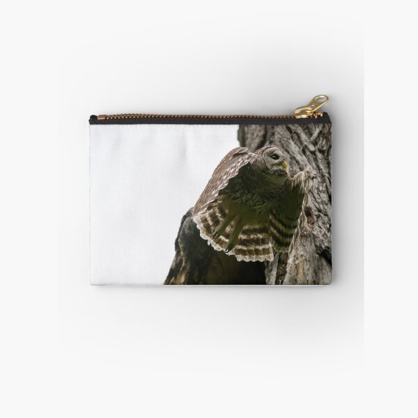 Item preview, Mama Barred Owl Flying Out designed and sold by Puttaswamy Ravishankar.