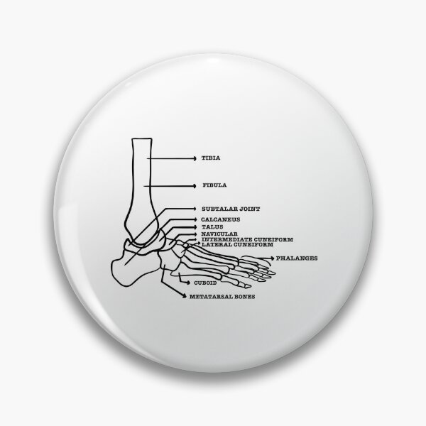 Item preview, Foot skeletal system  designed and sold by Mermaidssparkle.