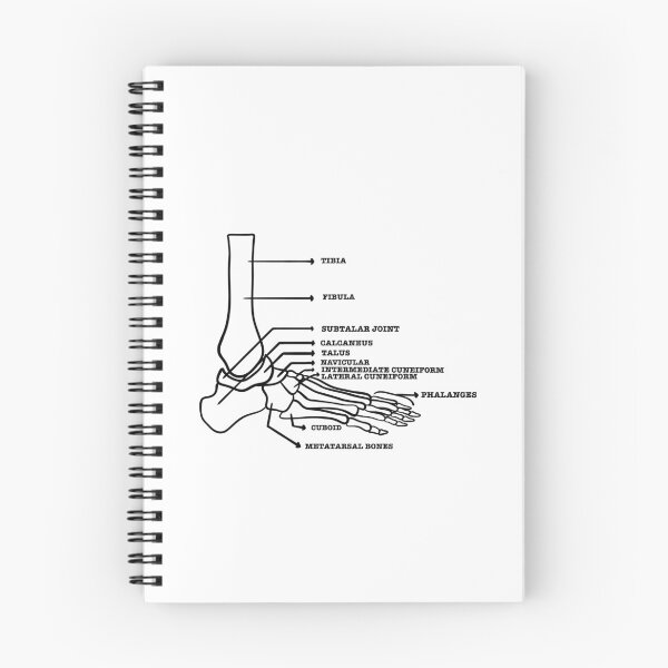 Item preview, Foot skeletal system  designed and sold by Mermaidssparkle.