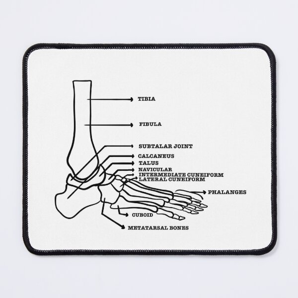 Item preview, Foot skeletal system  designed and sold by Mermaidssparkle.