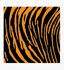 Tiger Stripes Photographic Print