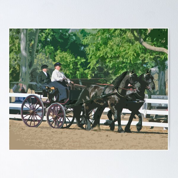 Artikelvorschau, Stylized photo of a woman driving an Andalusian horse-drawn carriage in dressage competition at Del Mar Horsepark in Del Mar, CA US. entworfen und verkauft von NaturaLight.