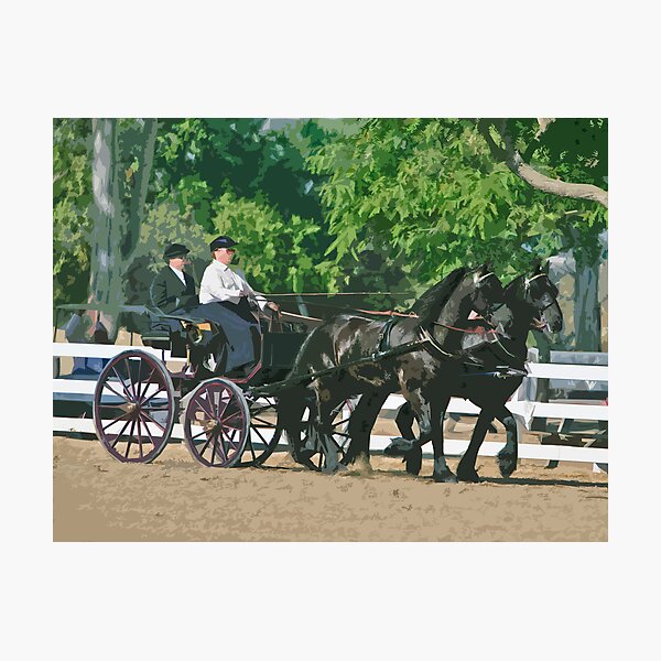 Item preview, Stylized photo of a woman driving an Andalusian horse-drawn carriage in dressage competition at Del Mar Horsepark in Del Mar, CA US. designed and sold by NaturaLight.