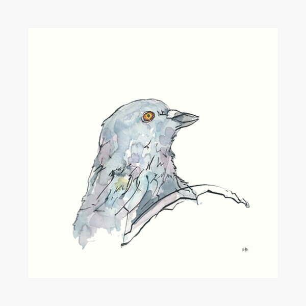 Pigeon Art Print