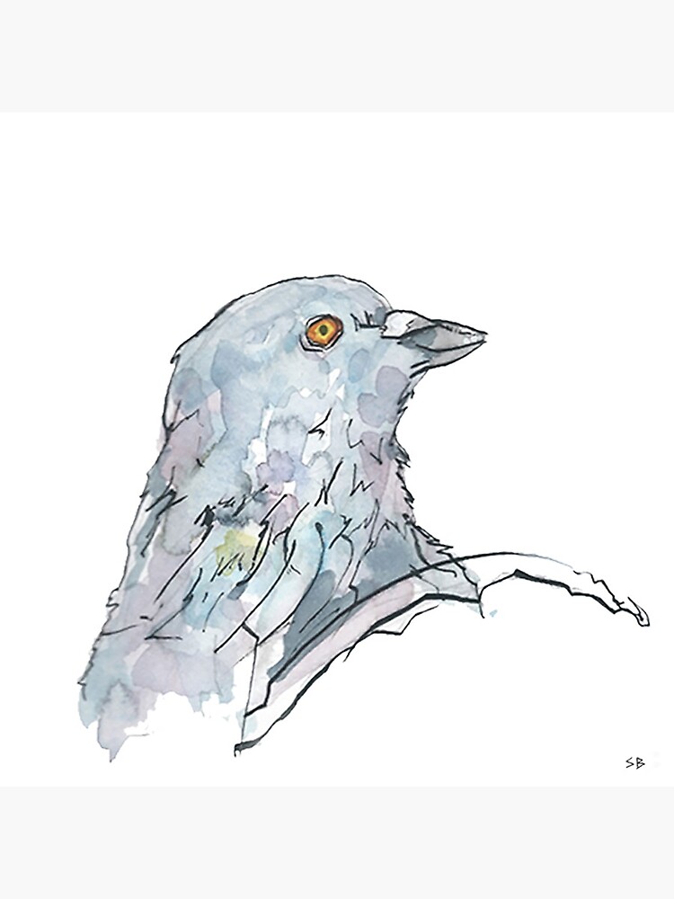 Pigeon by stevebeadleart