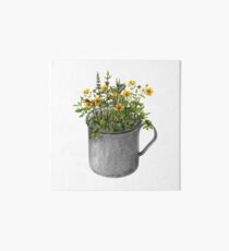 Becher mit Minze und Hypericum Blumen Galeriedruck