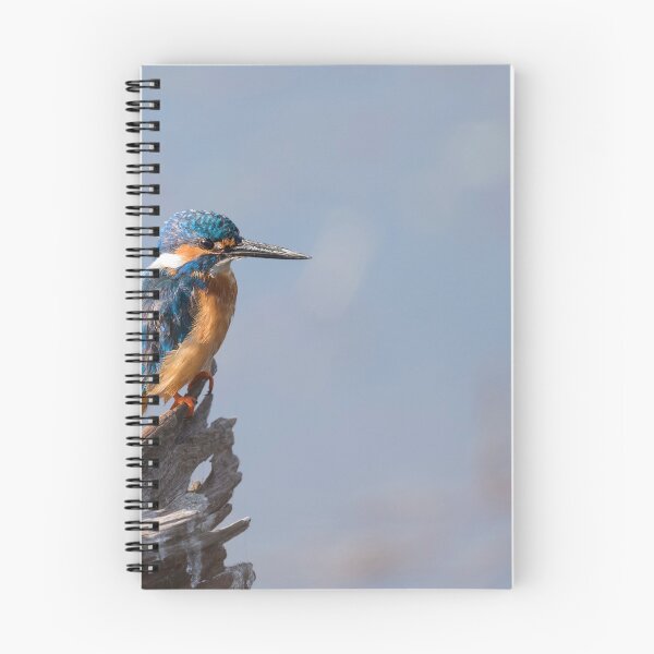 Item preview, Common kingfisher - Basking in the Sun! designed and sold by Puttaswamy Ravishankar.