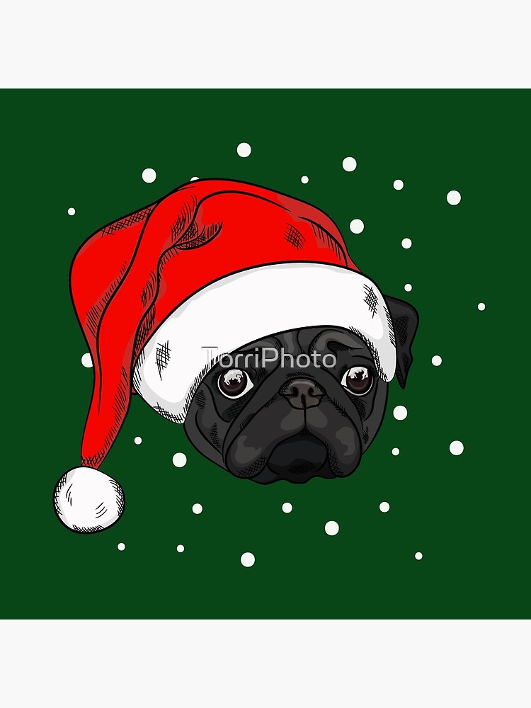 black pug christmas