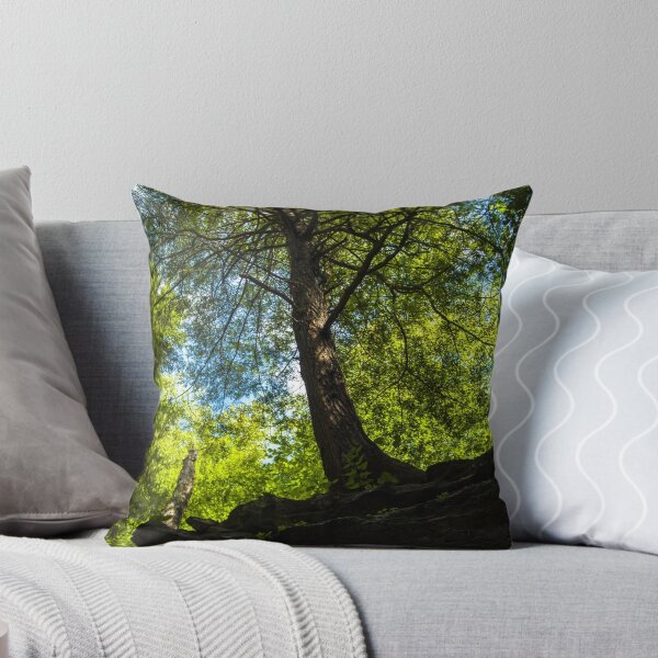 Item preview, Tree on the Edge designed and sold by BLaskowsky.