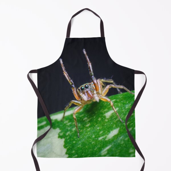 Item preview, A gorgeous metallic jumper (Siler semiglaucus) raising its arms from a Monstera Thai constellation! It's also know as colorful jumping spider and jade jumping spider  designed and sold by AvonPerception.