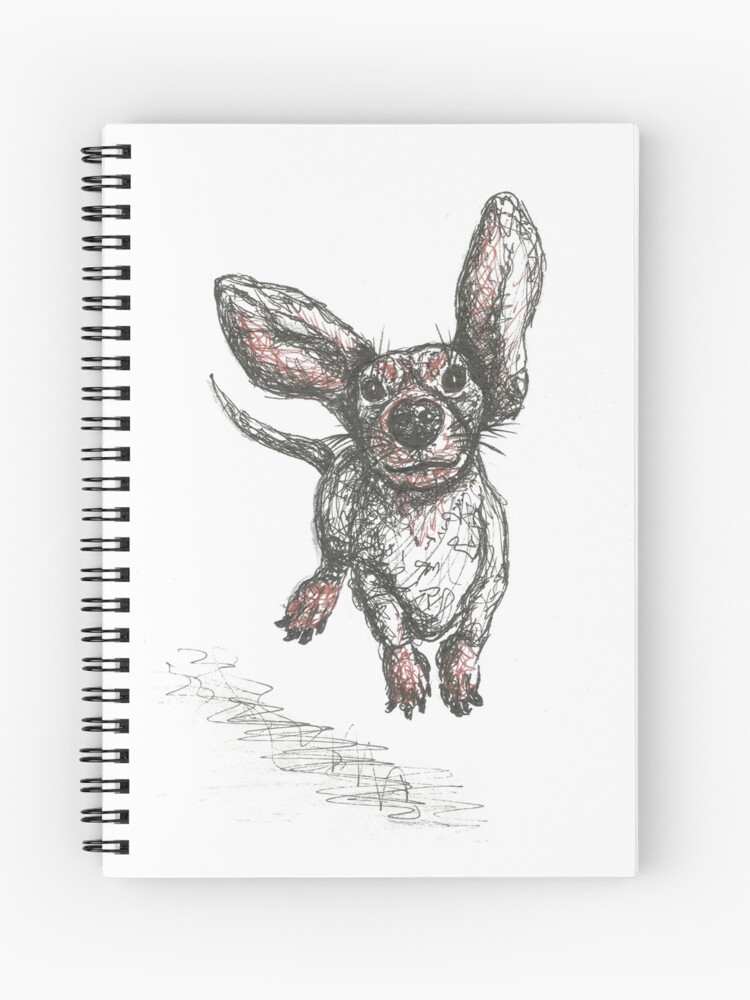 rabbit running pen wire
