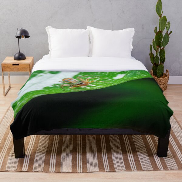 Artikelvorschau, Wunderschöner Metallic-Jumper (Siler semiglaucus), der von einer thailändischen Monstera-Konstellation herunterschaut! Sie ist auch als bunte Springspinne und Jade-Springspinne bekannt entworfen und verkauft von AvonPerception.