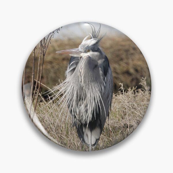 Item preview, Great blue heron designed and sold by SDym Photography.