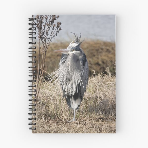 Item preview, Great blue heron designed and sold by SDym Photography.