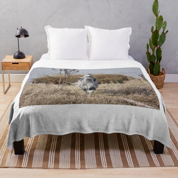 Item preview, Great blue heron designed and sold by SDym Photography.