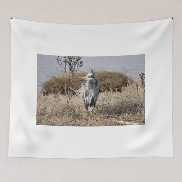 Item preview, Great blue heron designed and sold by SDym Photography.