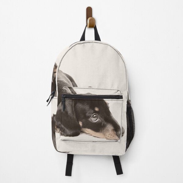 Item preview, Sleepy Dachshund designed and sold by ernest123.