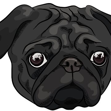 Black 2024 pug face