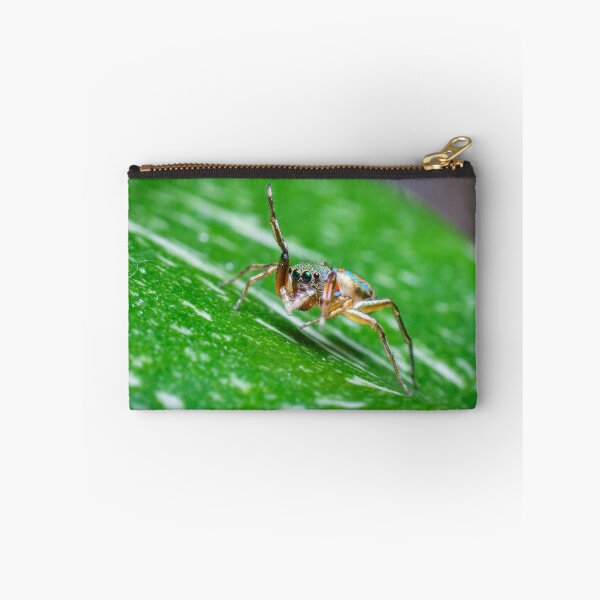 Item preview, A gorgeous metallic jumper (Siler semiglaucus) saying hi from a Monstera Thai constellation! It's also know as colorful jumping spider and jade jumping spider  designed and sold by AvonPerception.