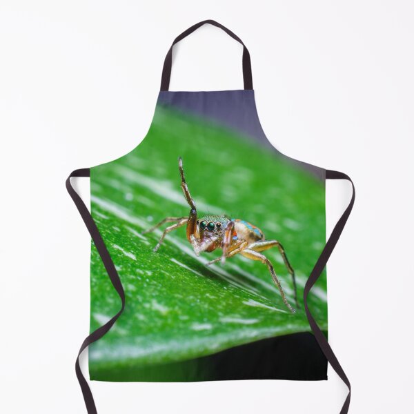 Item preview, A gorgeous metallic jumper (Siler semiglaucus) saying hi from a Monstera Thai constellation! It's also know as colorful jumping spider and jade jumping spider designed and sold by AvonPerception.