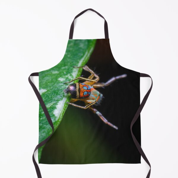 Item preview, A gorgeous metallic jumper (Siler semiglaucus) showing its colourful abdomen from a Monstera Thai constellation!! It's also know as colorful jumping spider and jade jumping spider  designed and sold by AvonPerception.