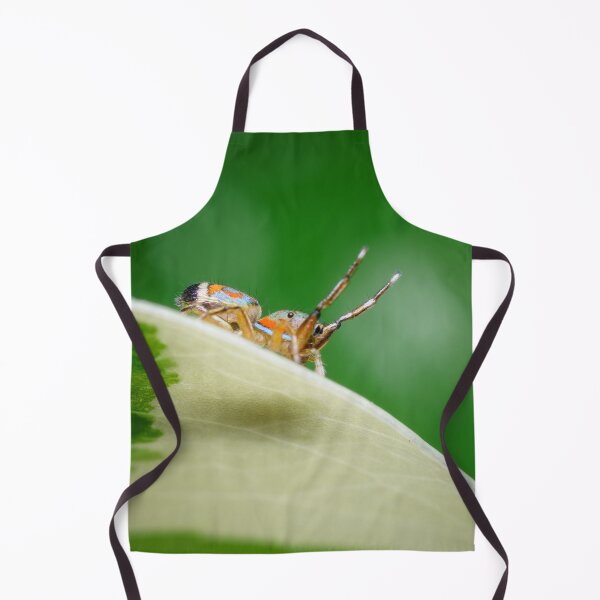 Item preview, A side view of the gorgeous metallic jumper (Siler semiglaucus) from a Monstera Thai constellation!! It's also know as colorful jumping spider and jade jumping spider designed and sold by AvonPerception.