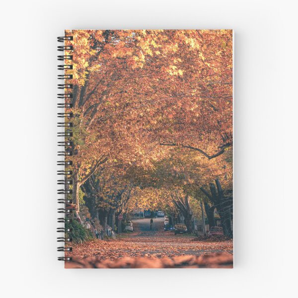 Aperçu de l'œuvre Automne à Ballarat créée et vendue par Craig Mitchell.