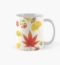 autumn leaves ginkgo ambertree on light background Mug